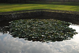 格兰特,池塘,秋季