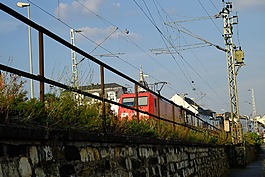 瘋草,電力機車,機車
