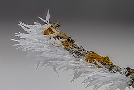 霜,冰,冰晶体