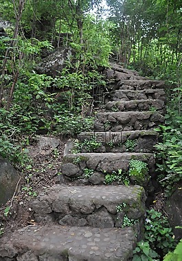 步驟,樓梯,綠色