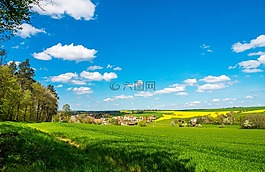 春天,景觀,草地