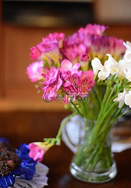 花卉,詳細(xì),花束