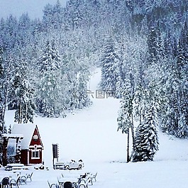 山,雪,滑雪