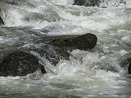 水,過獨身生活,石頭