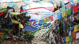 西藏,宗教,佛教