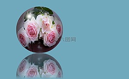 球,全球,鮮花