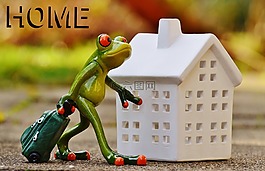 青蛙,到達,首頁