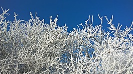 冬天,雪,太陽(yáng)