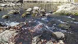 拉皮茲,水,溪