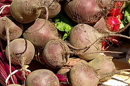 蔬菜,甜菜,根
