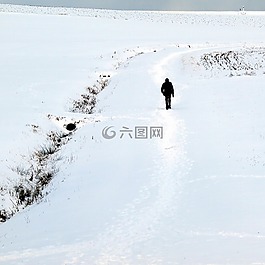 男子,走,雪