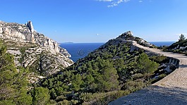 calanque,马赛,黑醋栗