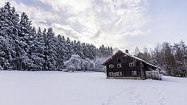 雪,冬天,冷