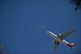 天空,飛行,飛機(jī)