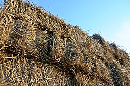 秸稈,敢,稻草包