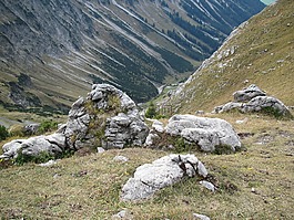 雾号,石头,丛生