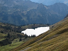 雾号,高山,阿尔高