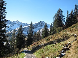 fellhorn,雪,冷杉