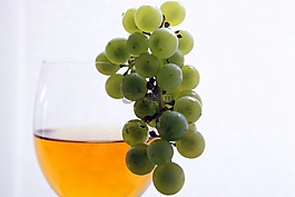 紅酒,年份,葡萄藤
