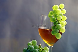 紅酒,年份,葡萄藤