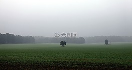 字段,秋天,秋