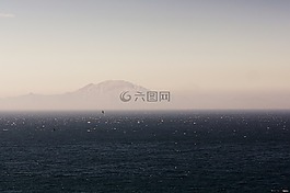 海,海鷗,山