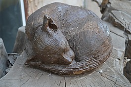 貓,圖像,睡眠