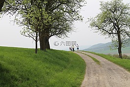 瓦豪,景观,树木