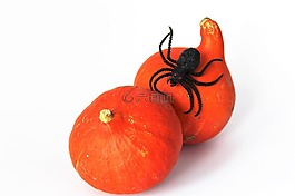 萬圣節(jié),南瓜,秋季