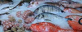 魚,魷魚,八達通