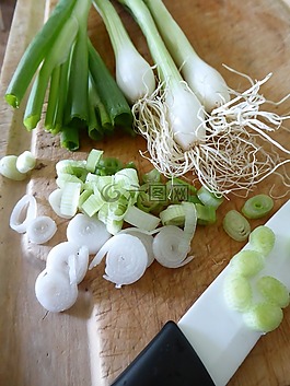 葱,蔬菜,块根