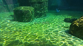 水下,下,水