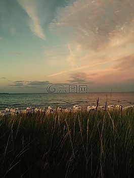 海灘,日落,abendstimmung
