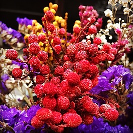 花,顏色,博士