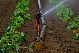 水噴頭,水射流,人工