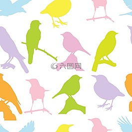 鳥,色彩繽紛,背景