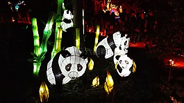 蒙特利尔,植物园,花园中国