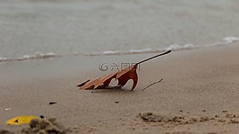 葉子,沙,海灘