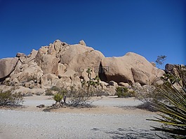 石,約書亞樹,國家公園