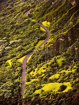 夏威夷,熱帶地區(qū),路