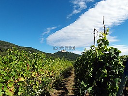 普法爾茨,徒步旅行,漢巴赫城堡