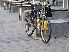 自行車,比賽,運(yùn)動