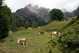山,奥地利,hinterthal