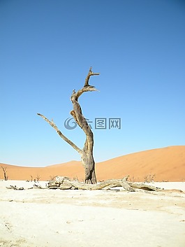 藍色,天空,納米比亞