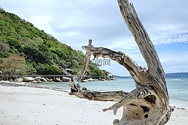 海灘,海,假期