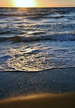 日出,海洋,海灘