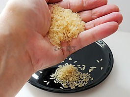 把米,水稻,水稻缽