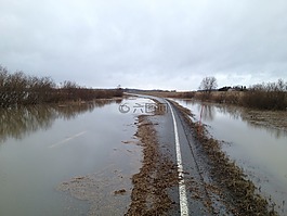 洪水,道路,水