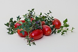 草藥,麝香草,蕃茄