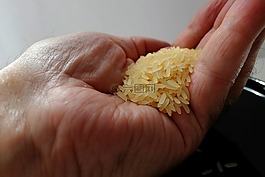 水稻,把米,水稻缽